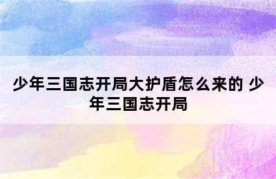 少年三国志开局大护盾怎么来的 少年三国志开局